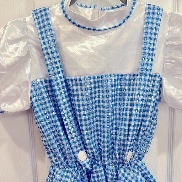 Dorothy Wizard of Oz dress size large - Picture 3 of 11